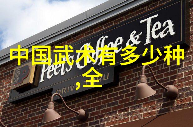简化24式太极拳分解教学我来教你这门古老的武术吧