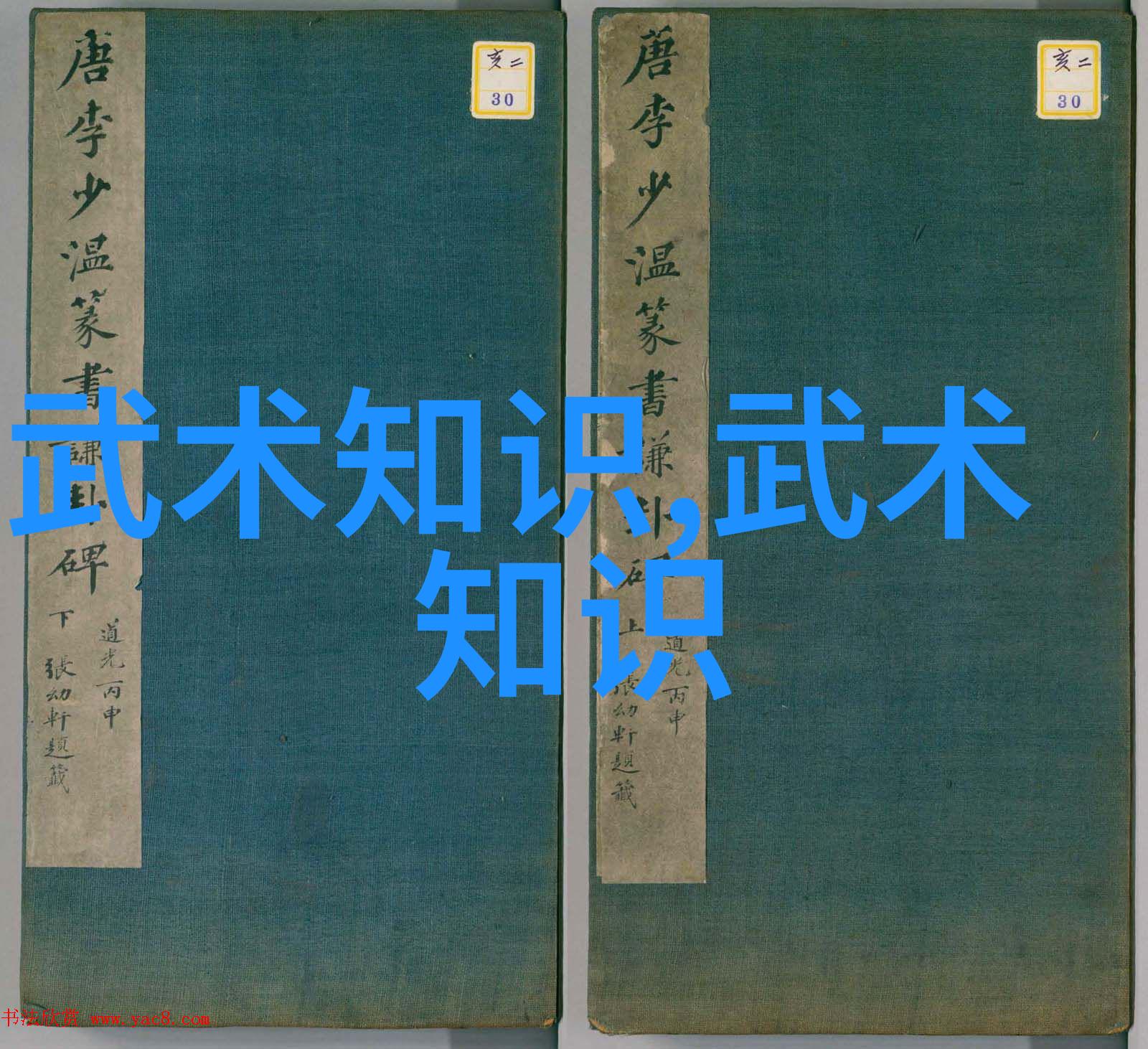霸气十足的帮派名字 - 霸道风云揭秘那些让人震撼的街头帮派称号