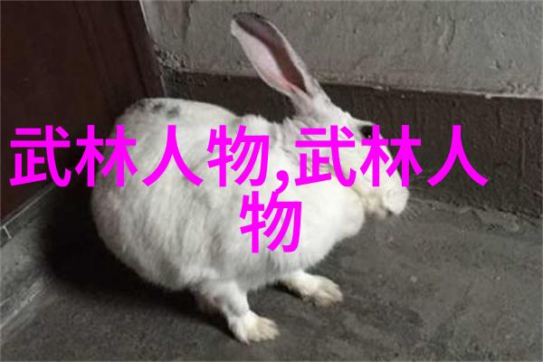 女侠传说揭秘历史上那些著名以女子为主的门派