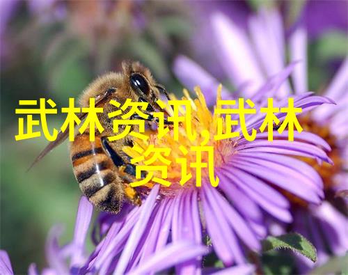 反复强调连任中国羽协主席张军将专注于三个关键事项确保羽毛球赛事的蓬勃发展