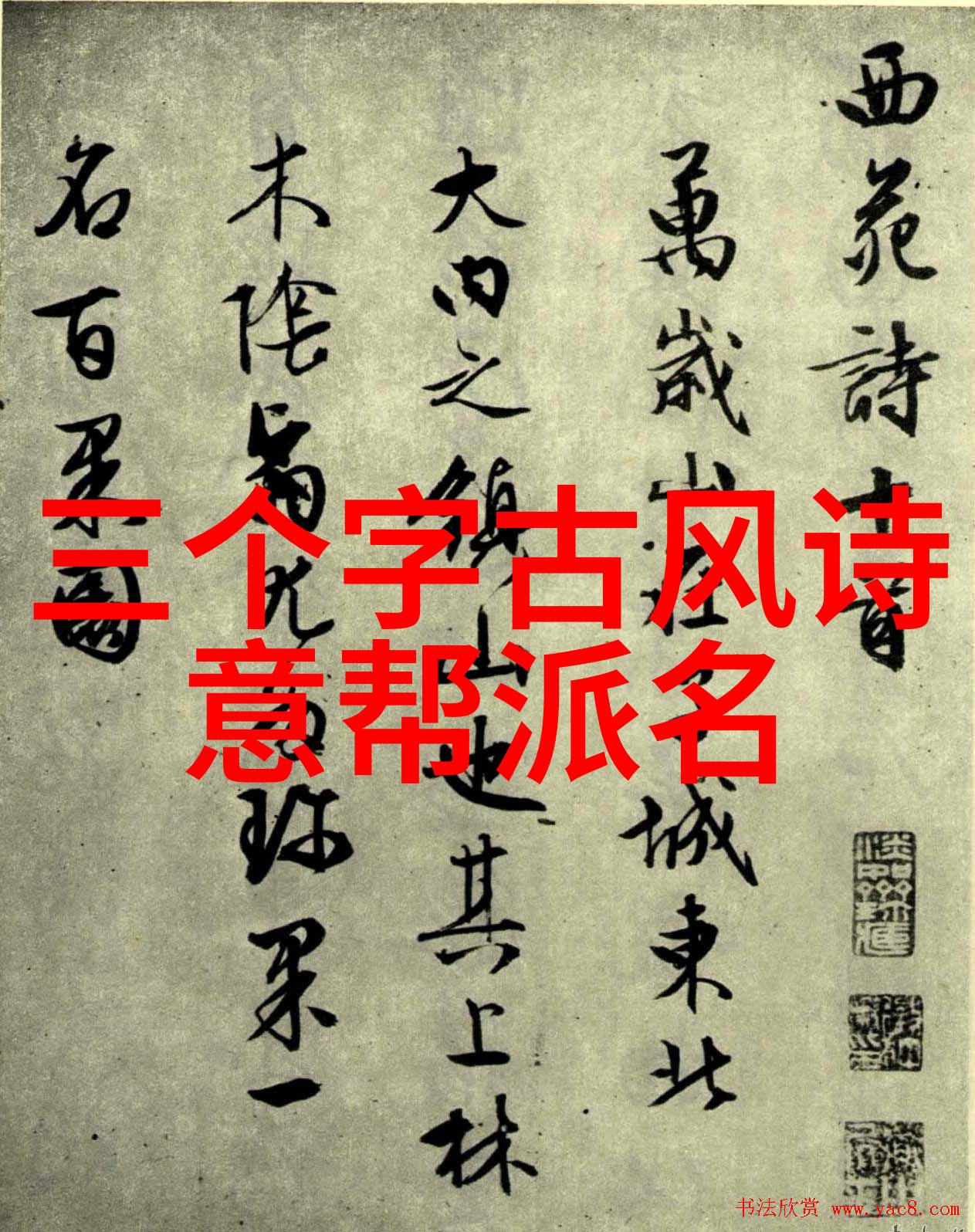 姜可TXT番外免费阅读笔趣阁精彩回顾
