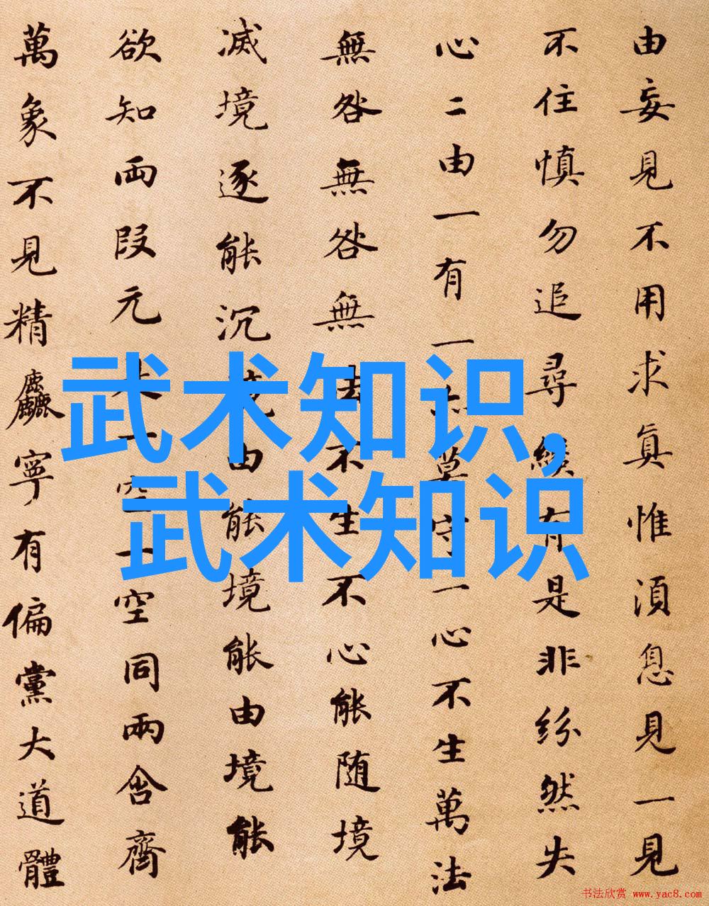 拳影轻纱探究少林最强大的招式