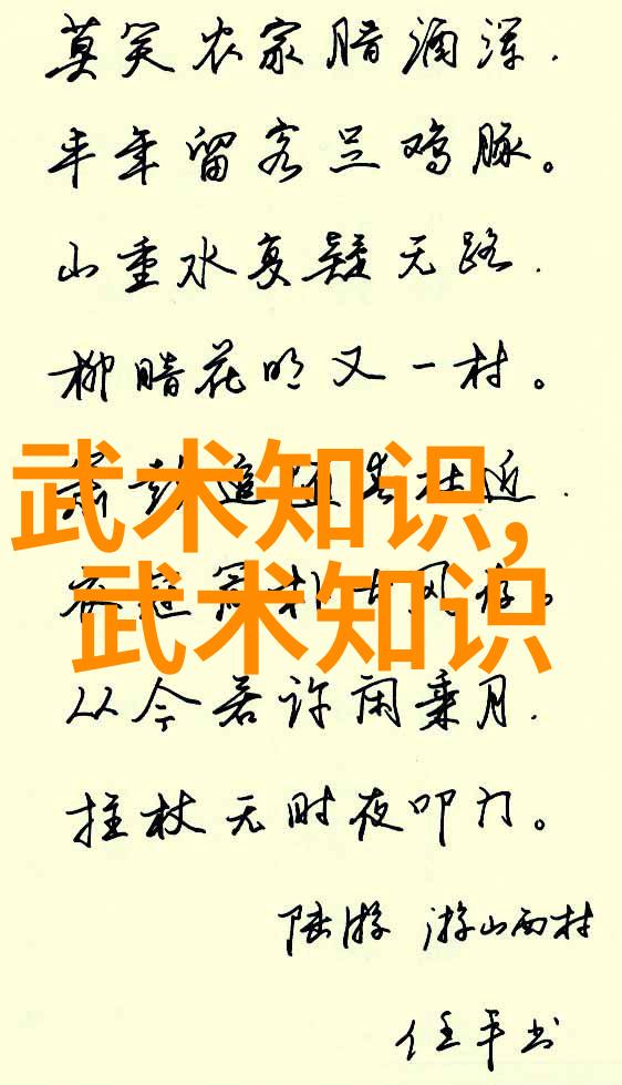 拳刃相较揭秘各大武术之争 whom shall reign supreme