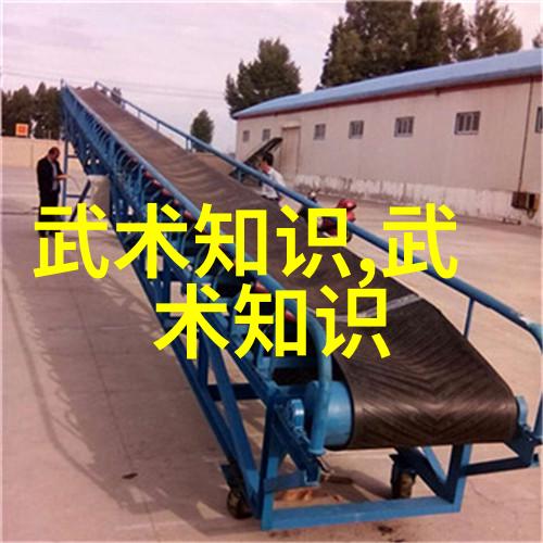 湖南武术门派中的清拳犹如江水般流畅潇洒自如