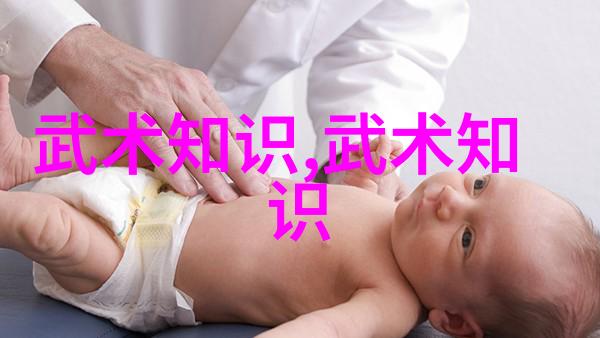 武学百花齐放深入剖析每一家独特风格