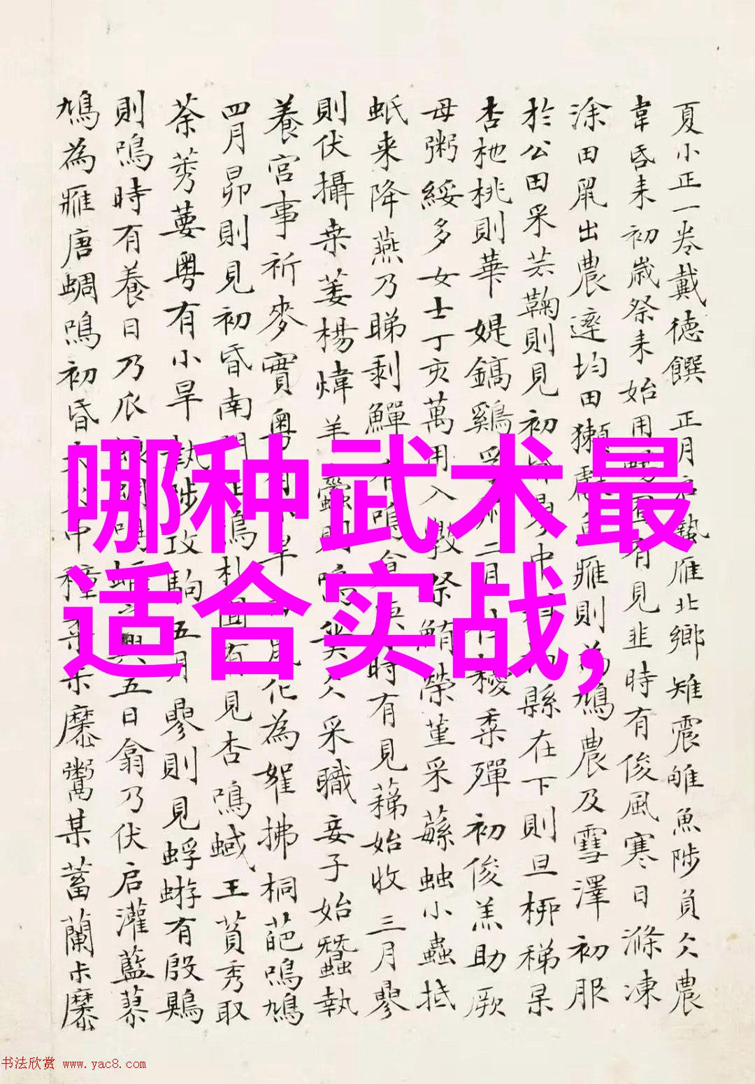 太极24式分解式介绍-揭秘太极拳中的内外结构与运功技巧