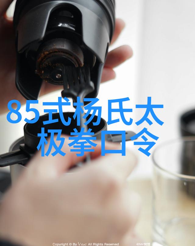 霸气仙盟三皇炮锤拳的掌门人