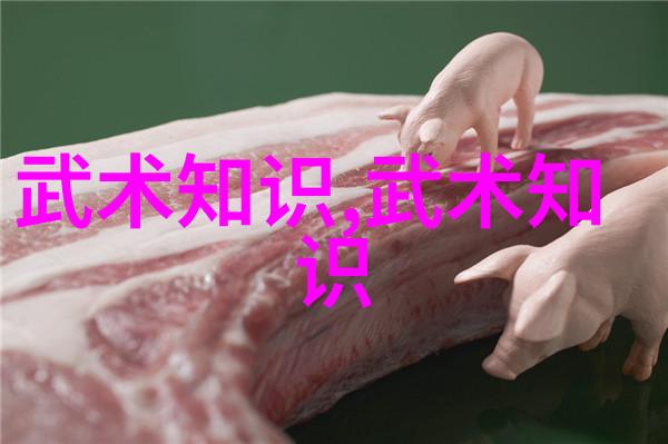 中国修真门派真实存在中华古秘道教传统