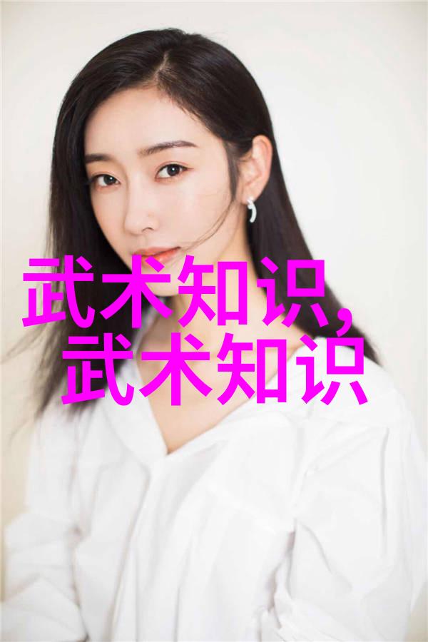揭秘中国功夫秘籍大全传承千年的武术智慧