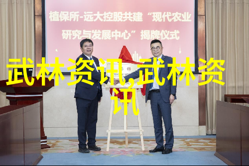 武林八大派中三皇炮锤拳的传人展现出非凡的内力和精湛的技艺