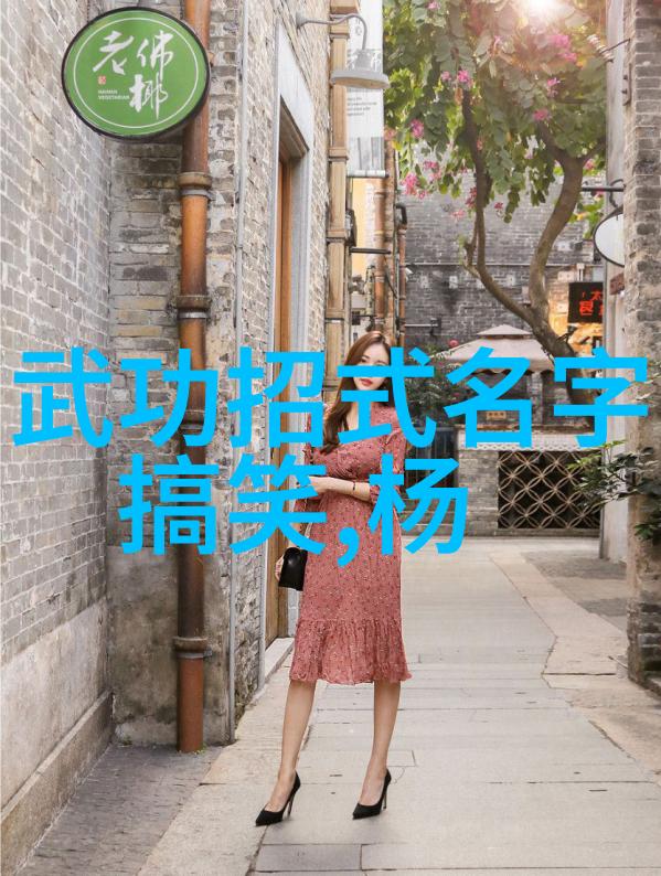 武林八大门派掌门人齐聚一堂展现疯狂拳术在社会的冲击力