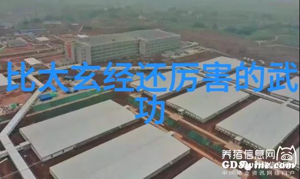 练就一拳砖的秘密