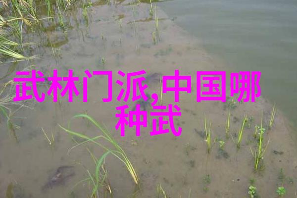 篮球场上的逆袭周鹏的反抢和穆迪的不幸坠地