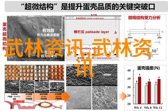 顶级宗门云魔门拳破天际