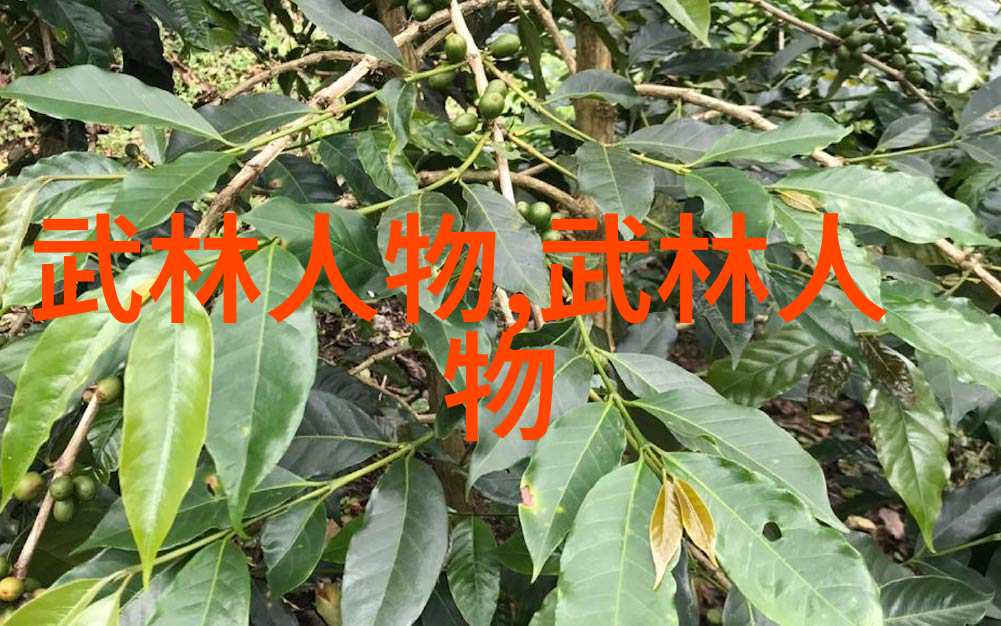 禁练10种气功-揭秘绝学为什么这些内功心法被严格禁止