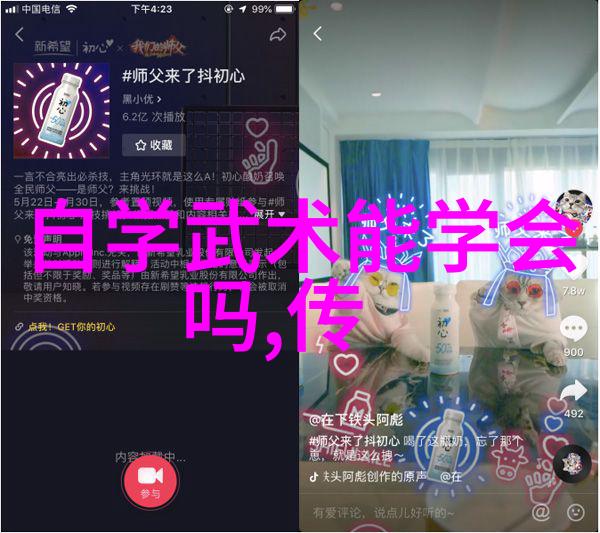 中华武学秘笈内外兼修之道