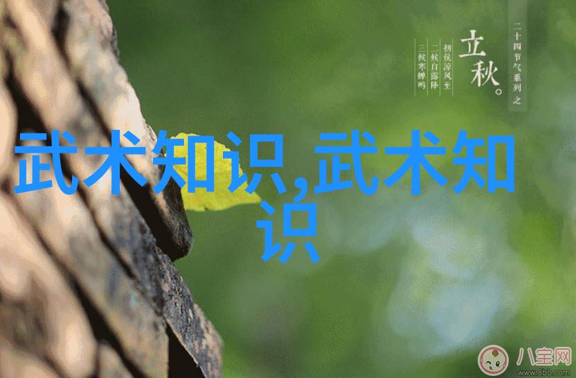 武术之美探索12个基本动作的艺术魅力