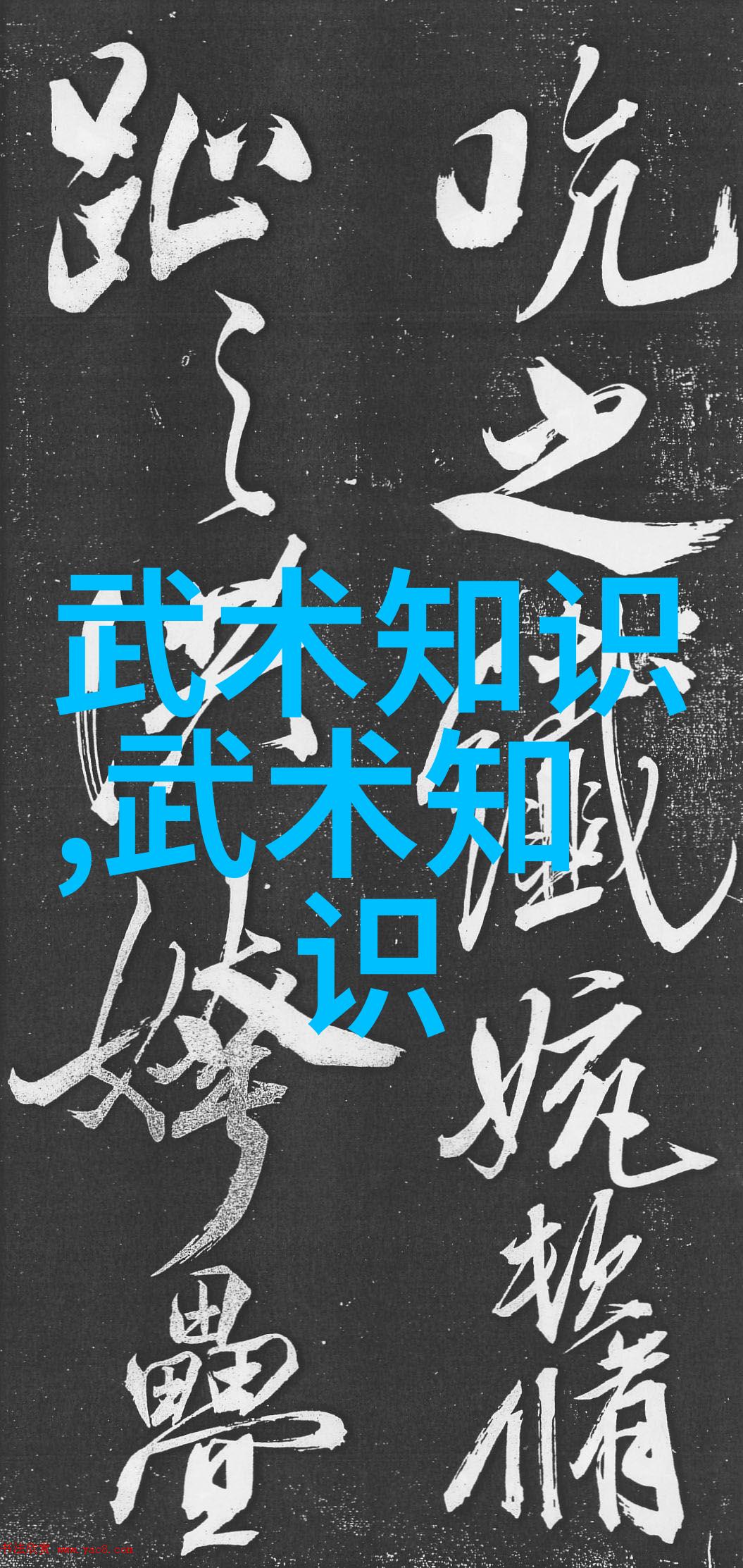 武术知识深度探究武术历史招式解析练习技巧