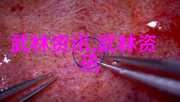 草蜢中国小将贾博琰租借生涯结束球探比分网足球即时比分旧版下载他人生的下一个篇章即将揭开