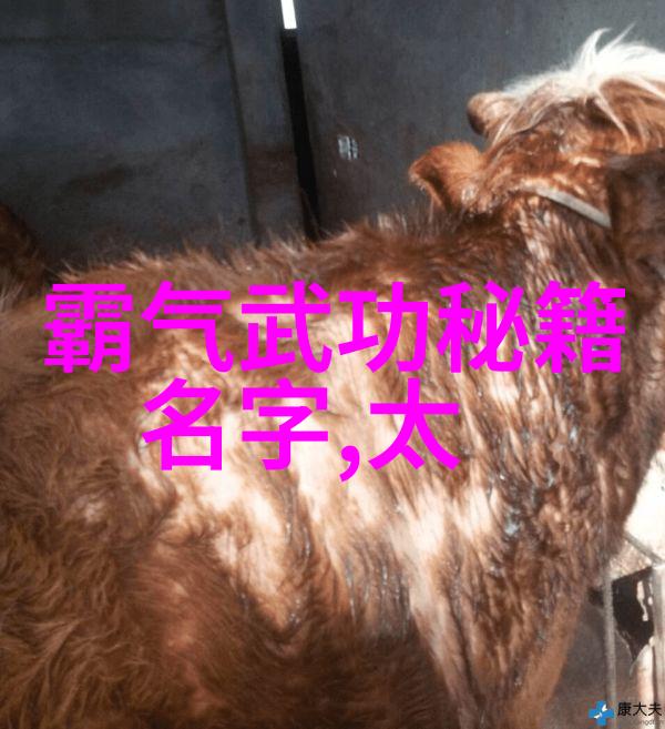 武当山十四代至十五代传人的轨迹探究