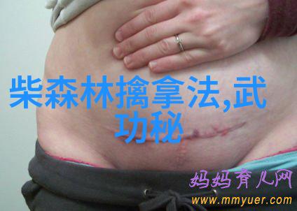 中国武功的精髓练就一身硬实力