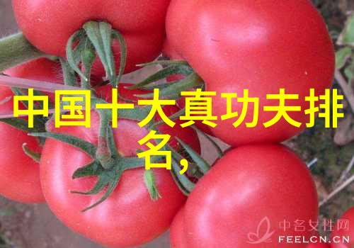 8090电影福利院我在这家老影院的奇妙日子