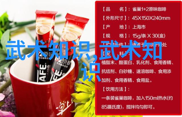 拳影传承揭秘武学秘笈