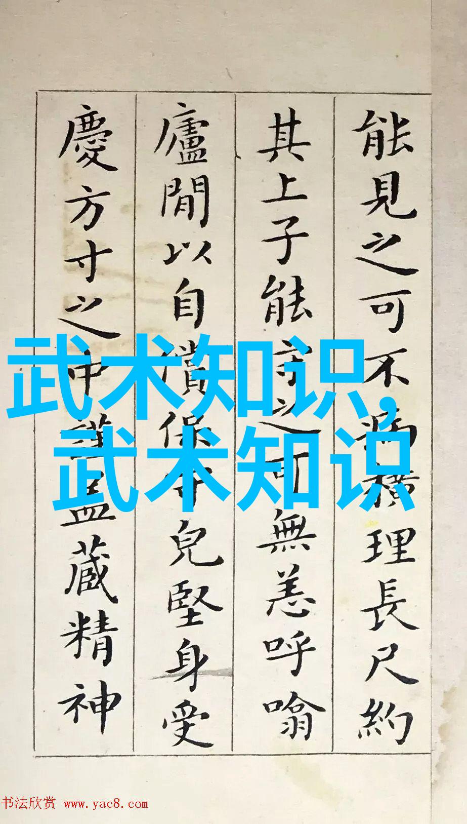 武功秘籍网传说中的绝技等待觉醒