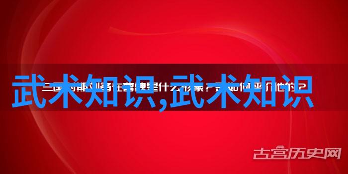 中国传统武术拳法中的太极拳套路核心要素王文贤教授的反复探究