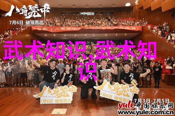 中国拳法之美揭秘武术的多样面貌