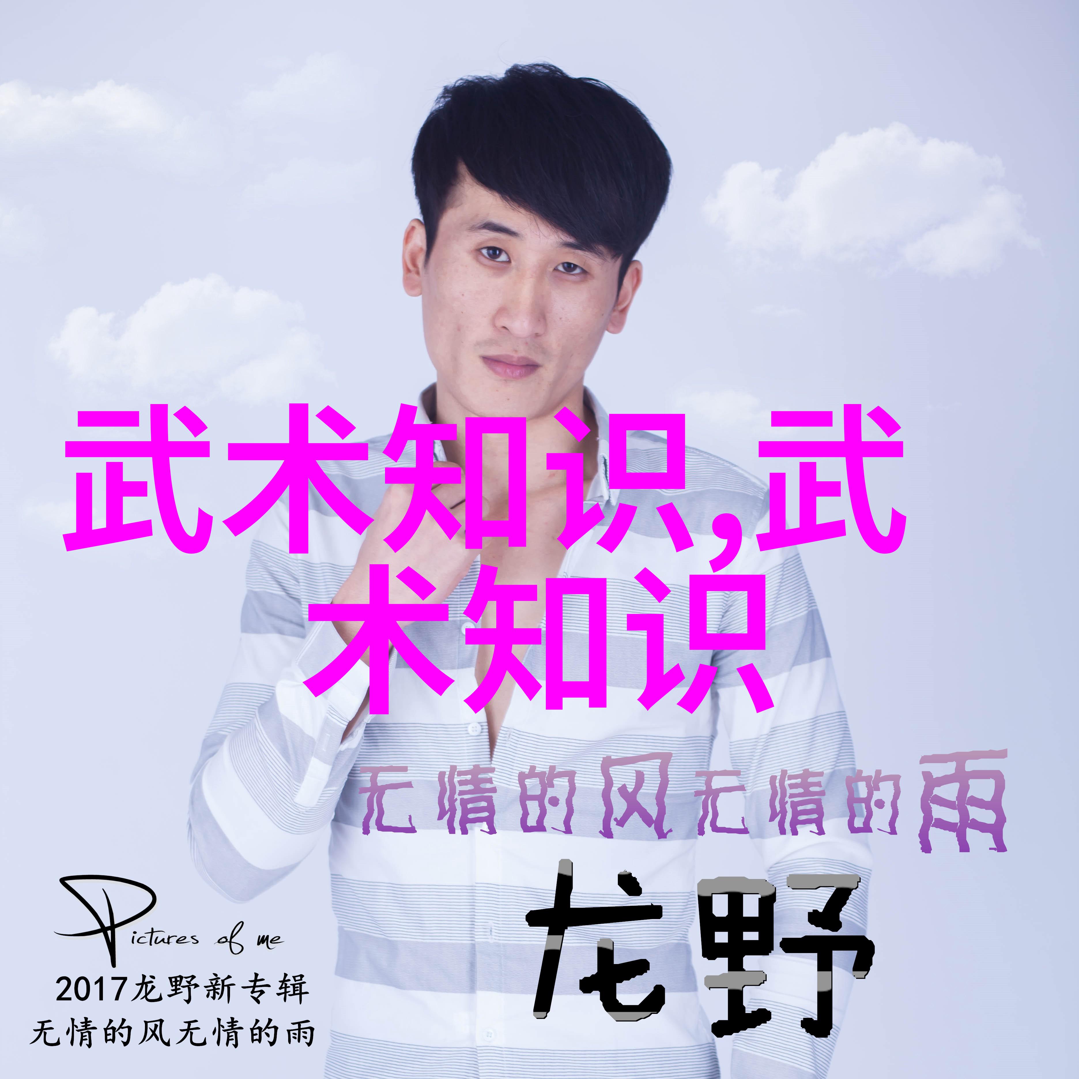武术巅峰揭秘中国传统拳法之冠军