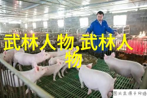 练轻功最快的方法我来教你一招叫一日千斤