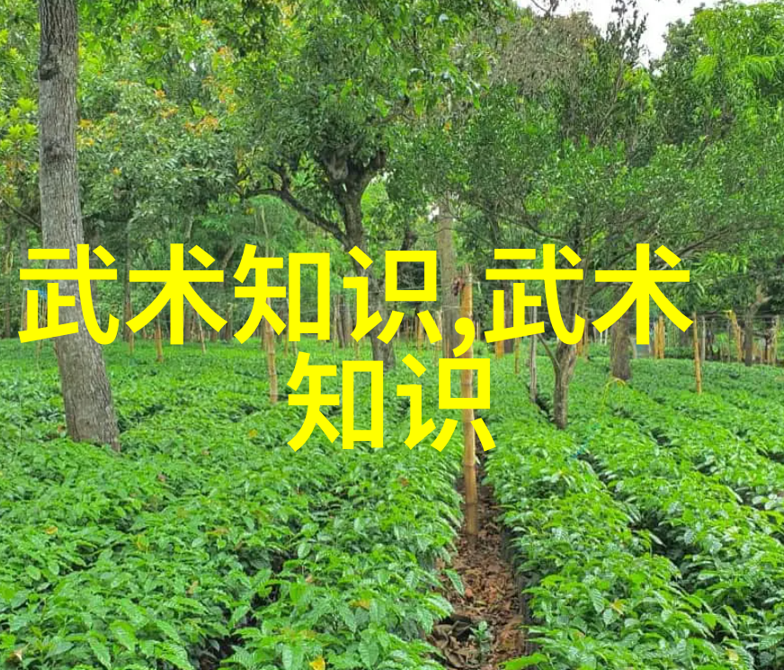 古韵武影剖析古代武术训练的艺术与哲学