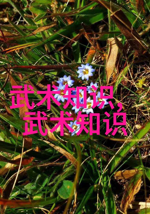 横练功夫竞技从业余到专业的路程