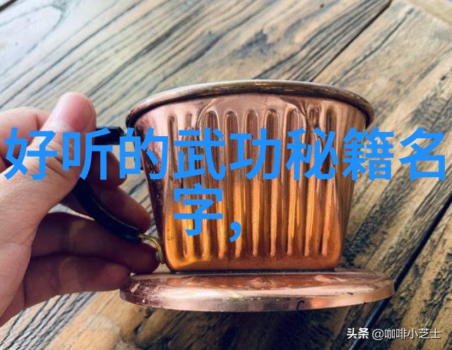 武林至尊还是家教王李小龙功夫教学视频的教育价值