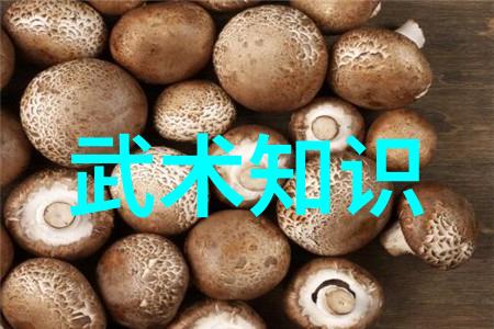中华武林十大高峰
