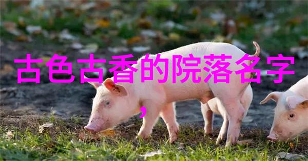 探索中华武术的多样性现存门派的精华与独特之处