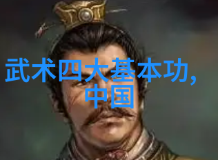 太极拳24式自学图解轻盈翱翔的内在之舞