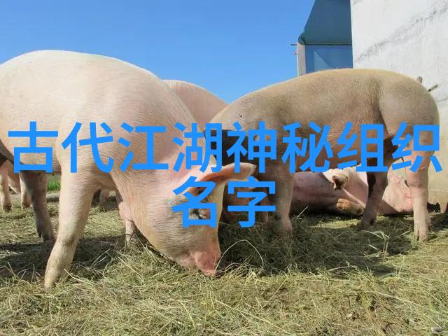 古武入门修炼法揭秘天地之道悟得真元