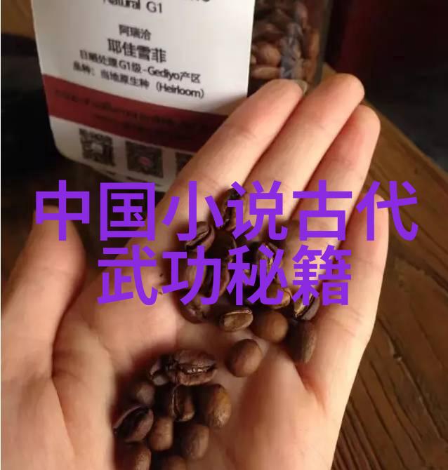 武功门派探秘原始太极拳之太极门