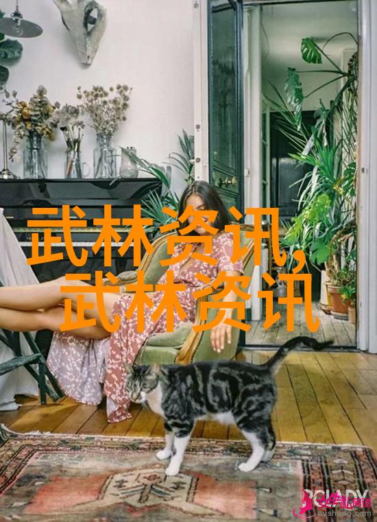 探索太极拳24式每一式图解视频之谜揭秘动作背后的哲学与健康益处