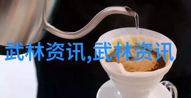 武术技巧解析深度剖析各种打法与招式