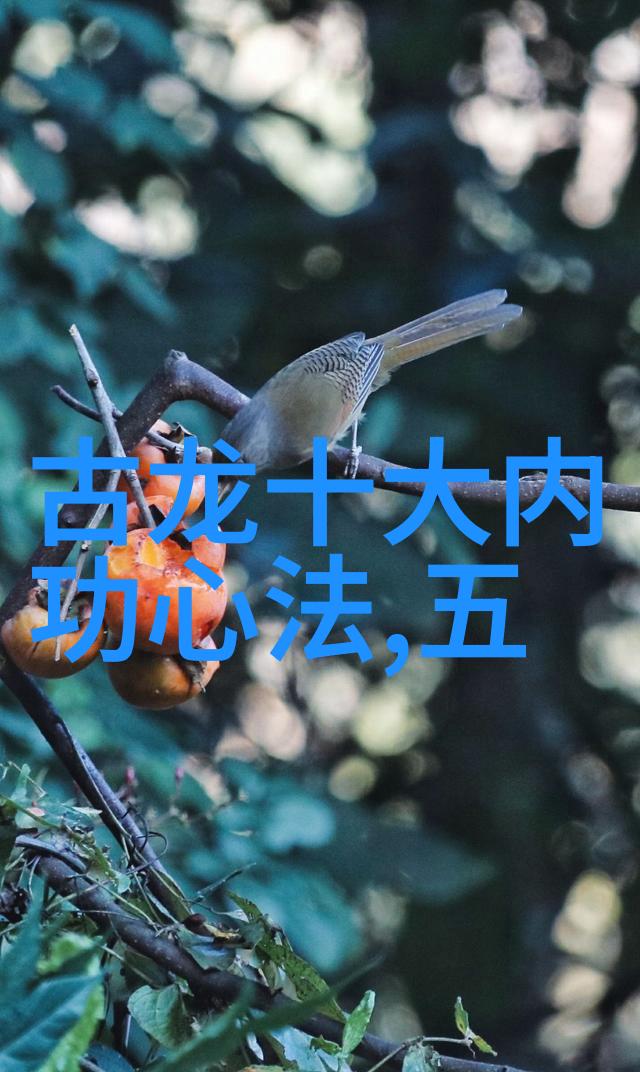 中华武林秘籍录揭秘中国古代武术典籍的奥义