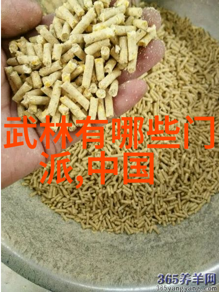 中国武术三十门派之旅探秘传统与实战技巧
