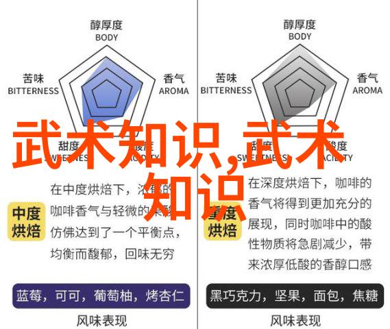 中国武术探秘我在这30个武术门派中找到了什么