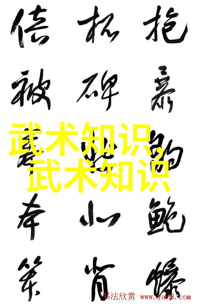 武术本质的哲学思辨-谭捷 蒲毕文