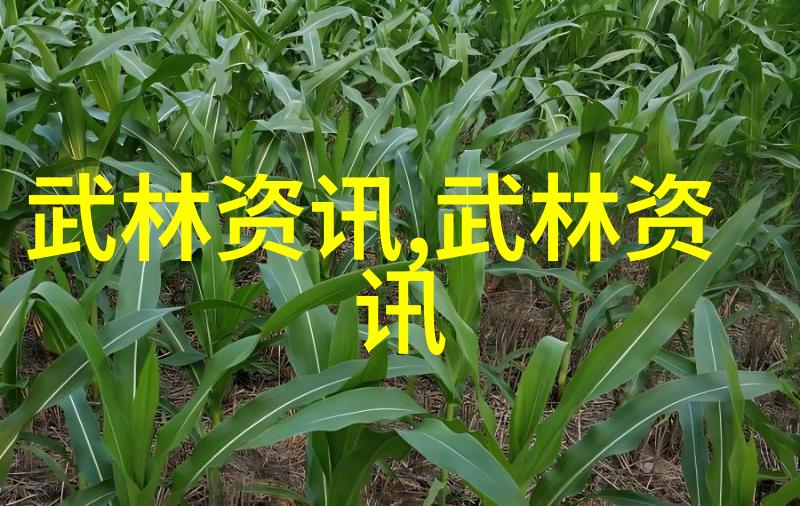 刀影幽深武林古秘的刃锋门派