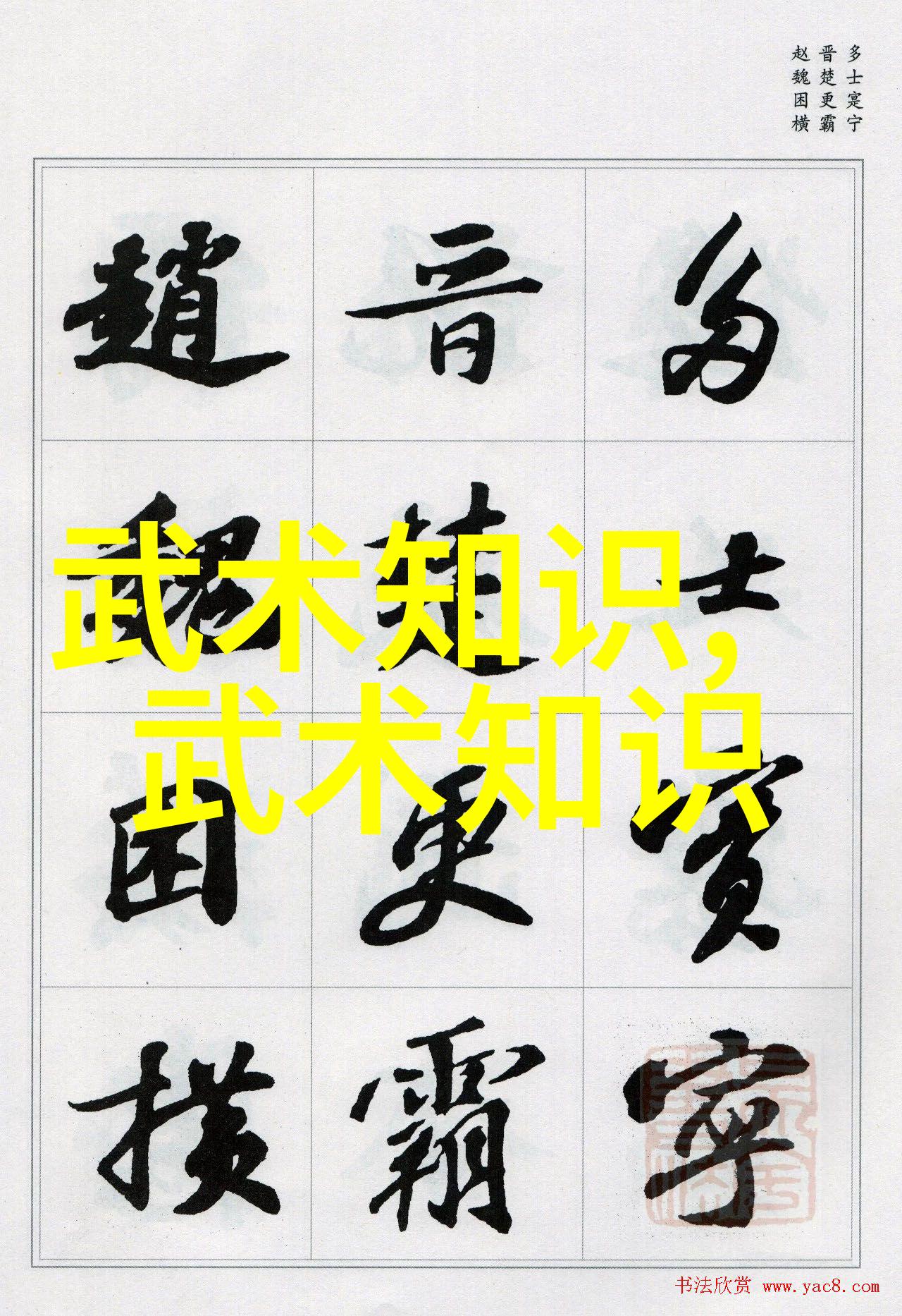 武林秘籍招式大全带图解锁古老武学的神秘之谜