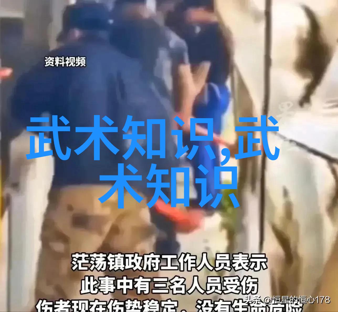 中国武功的传承与实践如何修炼中华古典武术