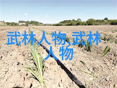 武道之影危险的身影在黑夜中舞动